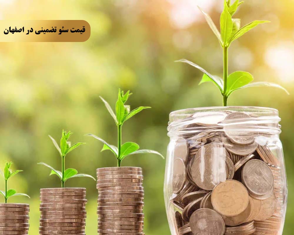 Guaranteed SEO price 6 پنجمین علت پشتیبانی دائمی و ارائه گزارشهای دقیق از پیشرفت